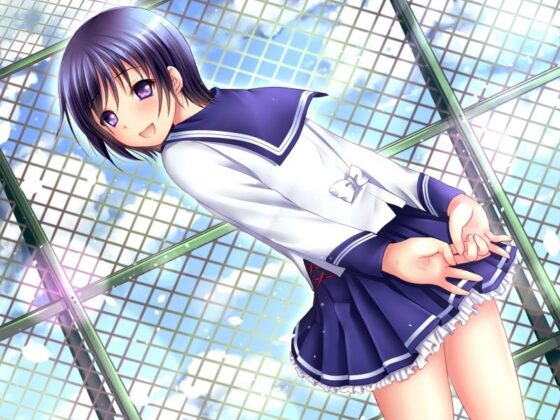 せっくす☆ふれんど [R.M.R] | DLsite 同人 - R18