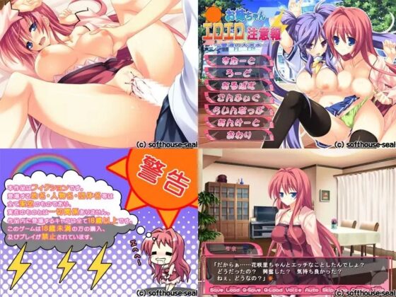 お姉ちゃんエロエロ注意報 ～愛液の大洪水～ [softhouse-seal] | DLsite 同人 - R18