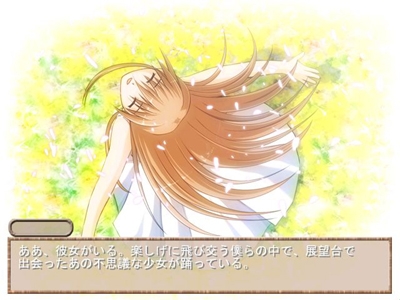 蝶の見る夢 [Selenium] | DLsite 同人 - R18