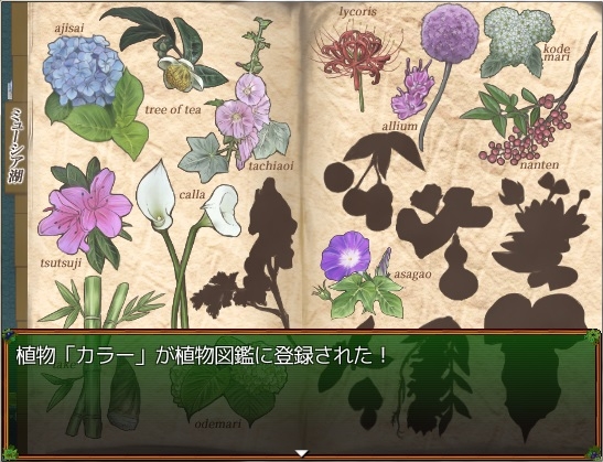 PLANTIA [フルールロンド+] | DLsite がるまに