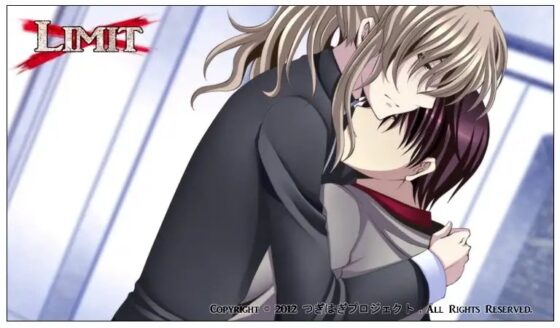 LIMIT [つぎはぎプロジェクト] | DLsite がるまに