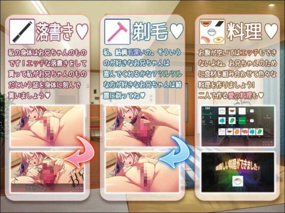 ハメ撮り実況中継！兄妹初エッチ12時間(ソフトさーくるクレージュ) - FANZA同人