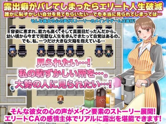 CAが内緒で楽しむ露出フライト フリーシナリオRPG(視萌妻喜) - FANZA同人