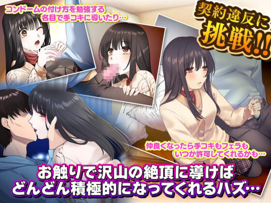 30日間10万円で私のこと触り放題です……っ。(大和ふみ) - FANZA同人