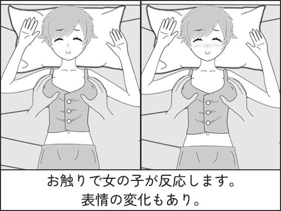 睡眠プレイ〜いたずらシミュレーション〜(841) - FANZA同人