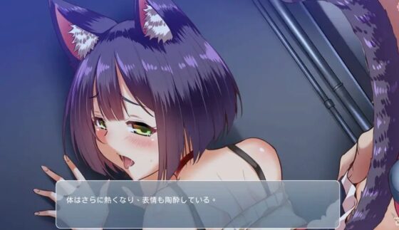 貓咪愛〜純愛貓娘同居生活〜(Once Only)