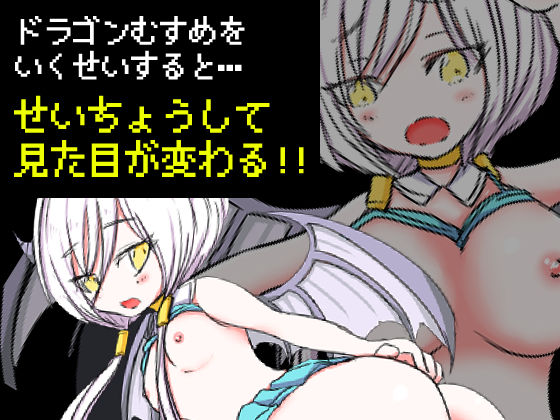 Dragon's Karma - Retro RPG Dragon Girl Raising