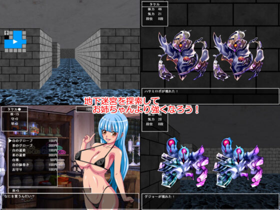 空手バカお姉ちゃん Ver1.01(ピラミッドハウス) - FANZA同人