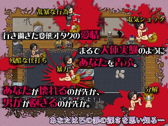 もし、あなたが美少女人形となって変態オタクに拾われてしまったら(ThreadPIN) - FANZA同人