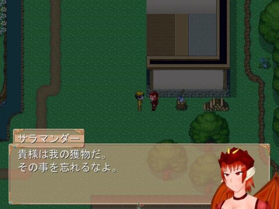 ドリューの幻想(VIR-LAND) - FANZA同人