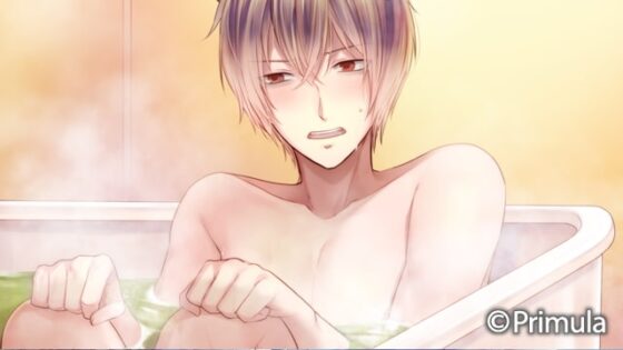 【一般作品】 大正×対称アリス HEADS＆TAILS [Primula] | DLsite PCソフト