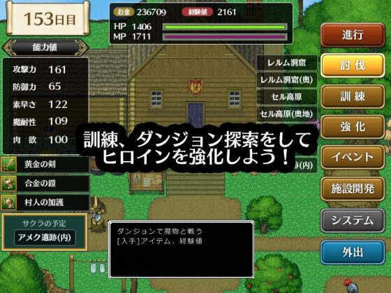 霧の遺跡と一人の剣士 [ただのでこ] | DLsite 同人 - R18