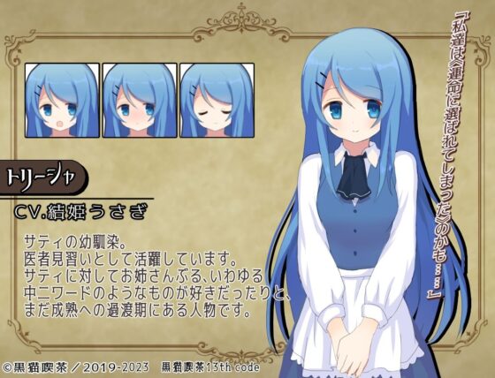 Element Embrace エレメントエンブレイス(黒猫喫茶 13th code) - FANZA同人