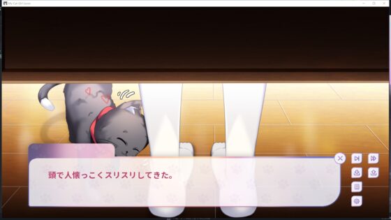 My Cat Girl Lover [Garakowa Marshmallow] | DLsite 同人 - R18