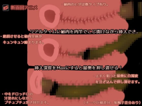 ♀プリーストいぢめ [Riphial] | DLsite 同人 - R18