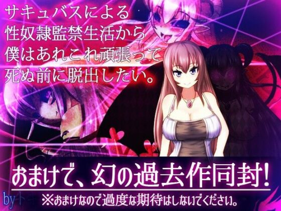 Succubus Prison: The Demon-Infested House