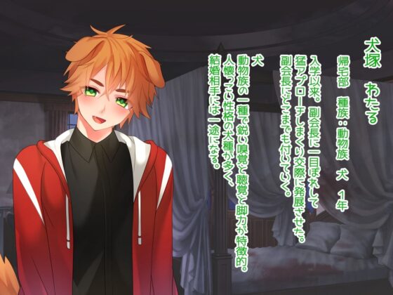 「噂」のコイバナシ(みるくせーき) - FANZA同人