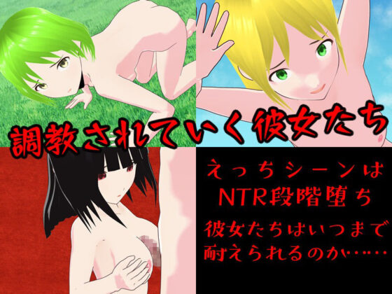 Resistance's Defeat ~Heroines Conquered by Empire~