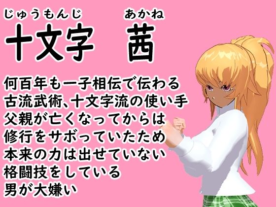 Ultimate Style 〜The Animation〜(ロートカイザー) - FANZA同人