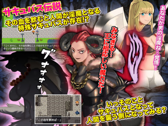 サキュバスを狩って成り上がろう！(第七飛行中隊（紫電改）) - FANZA同人