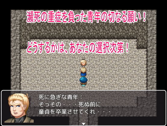 Hero's Children (Roth Kaiser) - FANZA Doujin