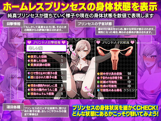 ホームレスに身を落としたプリンセスと過ごす ゴミ溜め同棲生活！(Pe-B4) - FANZA同人