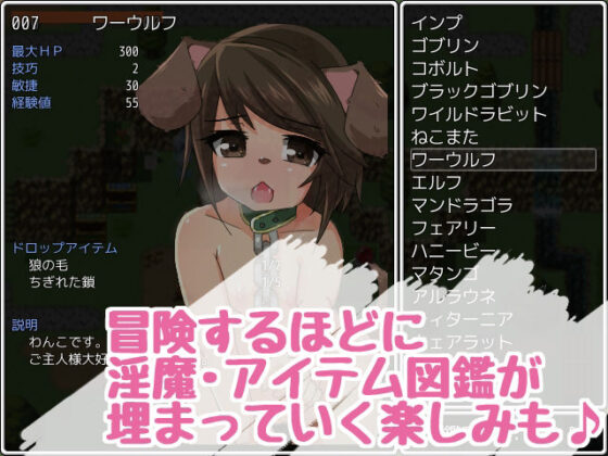 淫魔島のエクスプローラー3(24ぺーじ) - FANZA同人