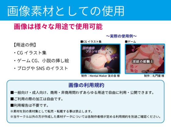 HentaiMaker(パッション☆モンキー) - FANZA同人