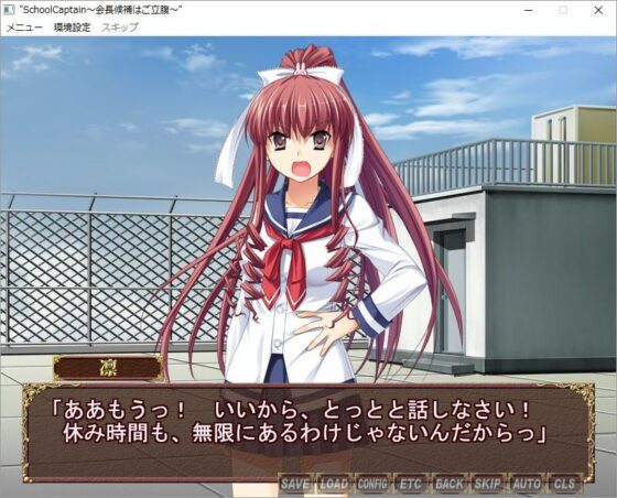 SchoolCaptain 会長候補はご立腹(Digital Lover) - FANZA同人