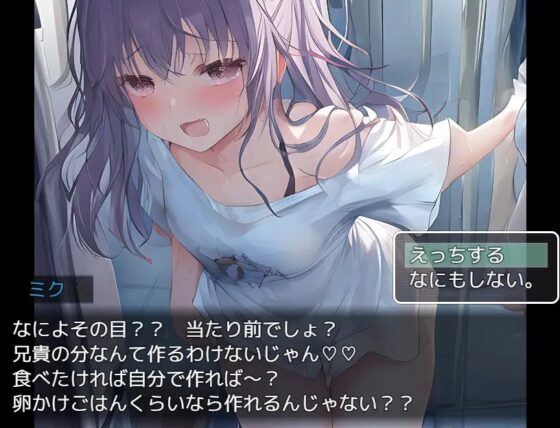 NPC姦～姫とJKと妹を犯せ～ [ワンランク上の男] | DLsite 同人 - R18