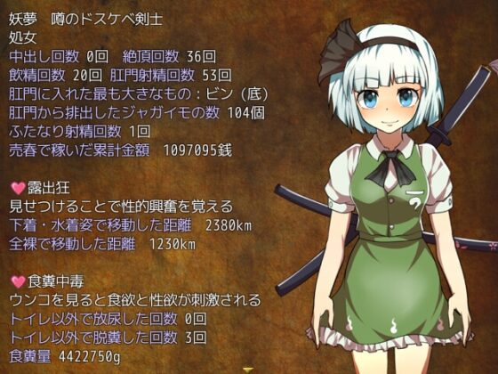 妖々飛龍郷 ～the Deserted Frontier. [とり飯] | DLsite 同人 - R18