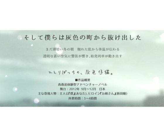 ひとりぼっちの、灰色仔猫。(ふじきの) - FANZA同人