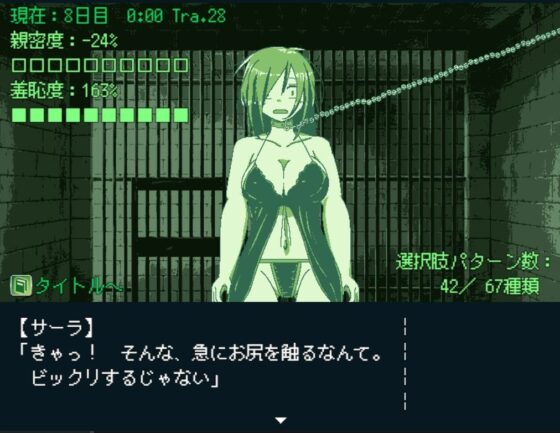 魔女の姦獄(softensoft) - FANZA同人