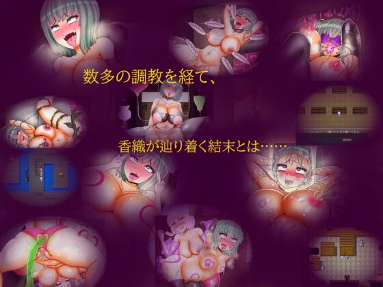 むっちりメス豚と快楽調教の刻印(あくおちメロン) - FANZA同人