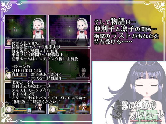 霧の刹那のワルキューレ(BLACK PANDA) - FANZA同人