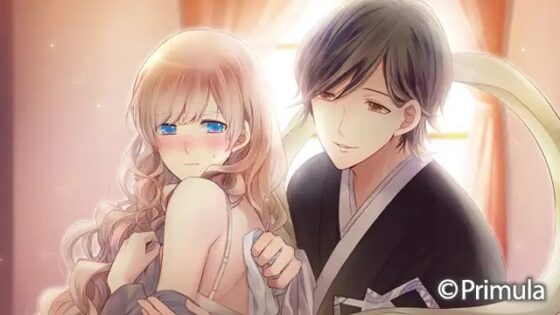 【一般作品】 大正×対称アリス HEADS＆TAILS [Primula] | DLsite PCソフト