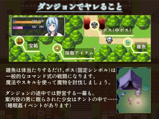 純潔聖女の恥辱儀式 [才媛を摘む。] | DLsite 同人 - R18