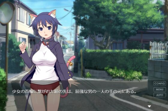 シュトラウさんの休日 [泥酔桜国] | DLsite 同人 - R18