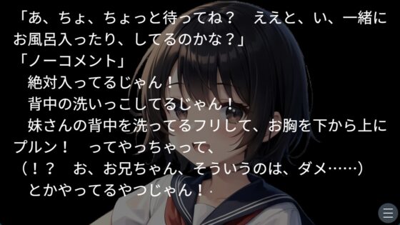 お兄ちゃんとの特別な夏2 [ぶたさんソフト] | DLsite 同人 - R18