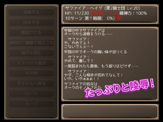 メイジズメイズ 〜ある冒険者たちの記録〜(んじゃ！リサイクル屋) - FANZA同人