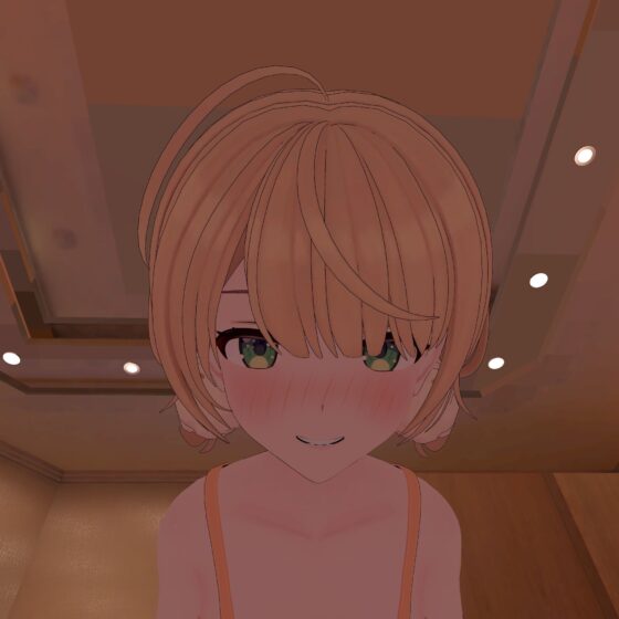 【VR対応】し〇れういとホテルで騎乗位えっち【日本語/English】(あーるあーるあーる) - FANZA同人