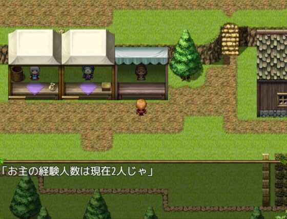 NPC姦〜すべての女NPCは俺のもの〜(おしぴんらっしゅ) - FANZA同人