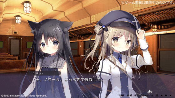 星空鉄道とシロの旅(しらたまこ) - FANZA同人