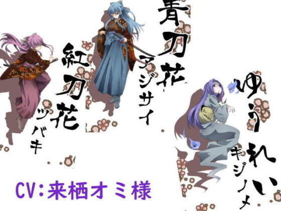 DIDRPG 和(アトリエ八福庵) - FANZA同人