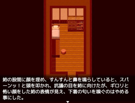 【デジノベ】無口な姉と。(yatsureCreate) - FANZA同人