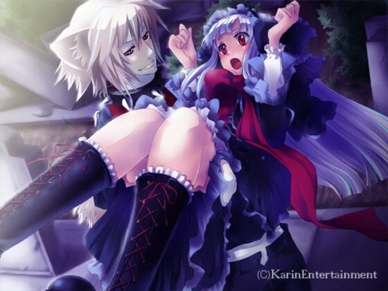 プリンセスナイトメア [花梨エンターテイメント] | DLsite PCソフト