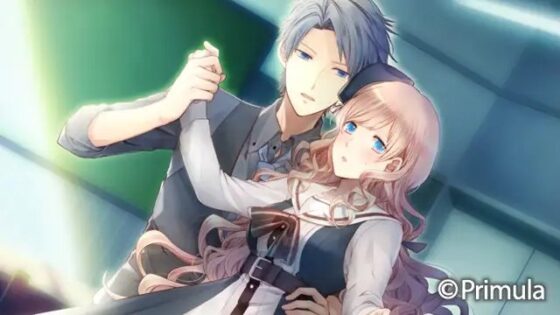 【一般作品】 大正×対称アリス HEADS＆TAILS [Primula] | DLsite PCソフト