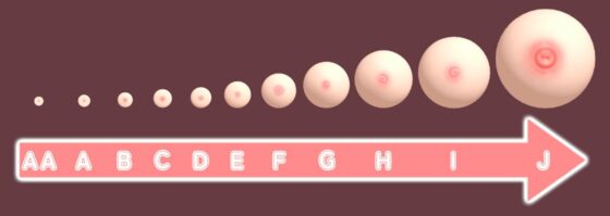 おっぱいがいっぱいゲーム(useros) - FANZA同人