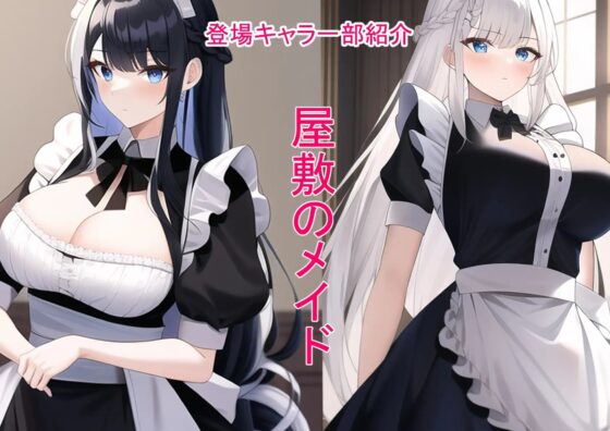 【NPC姦】RPG世界に転生した俺たち異世界の住人を好き勝手犯します。 [AI堂得炉下街支店] | DLsite 同人 - R18