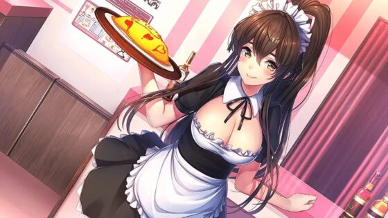 NinNinDays [qureate] | DLsite 同人 - R18